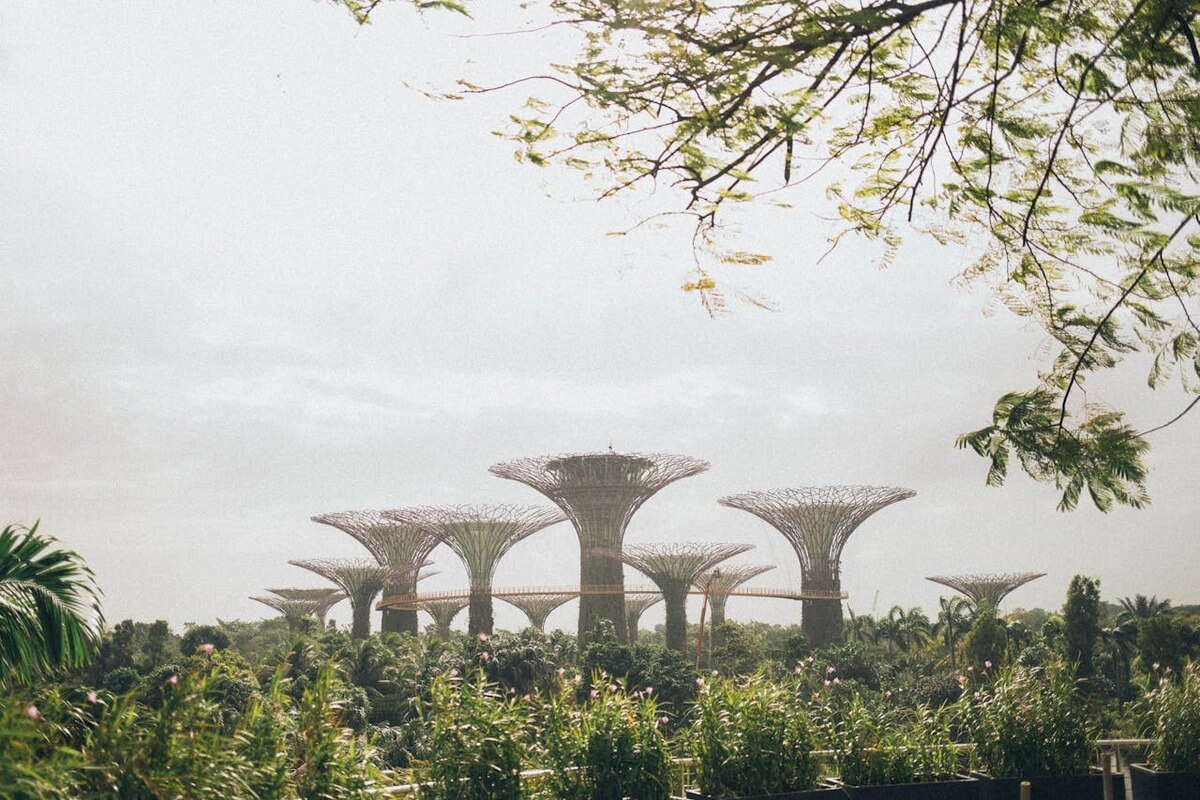 Gardens by the Bay